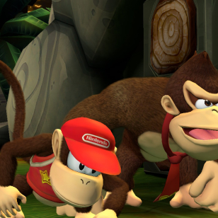 Donkey Kong Country Returns HD_Kongi-kaksikko