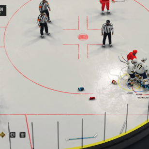 NHL 25 tappelu