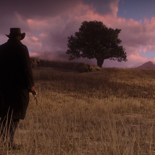 Red Dead Redemption 6.jpg