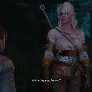 The Witcher 3: Wild Hunt