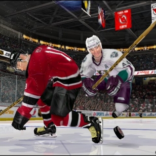 NHL 2004