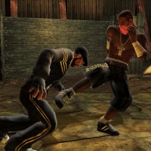 Def Jam Vendetta saa jatkoa