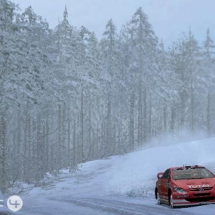 Sonyn WRC 4 marraskuussa