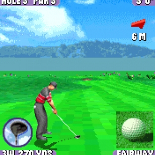 Tiger Woods PGA Tour 2004