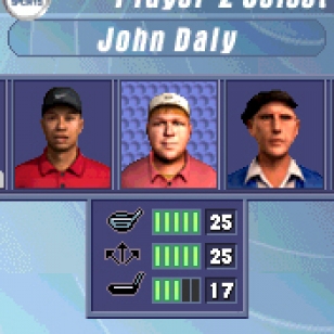 Tiger Woods PGA Tour 2004