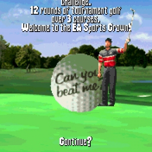 Tiger Woods PGA Tour 2004