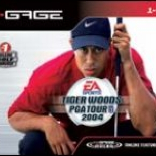 Tiger Woods PGA Tour 2004