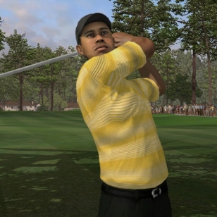 Tiger Woods PGA Tour 07