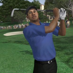 Tiger Woods PGA Tour 07