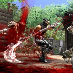 Veristä toimintaa – ensimmäiset kuvat Ninja Gaiden 2:sta