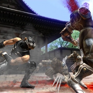 Veristä toimintaa – ensimmäiset kuvat Ninja Gaiden 2:sta