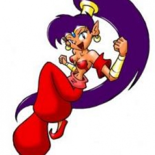 Shantae WiiWarelle