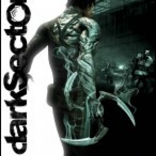 Dark Sector