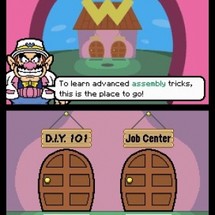 WarioWare: Do It Yourself