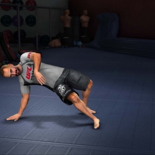 UFC Personal Trainer 