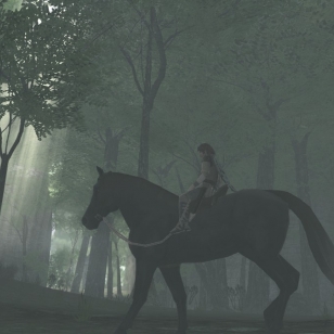 Ico & Shadow of the Colossus